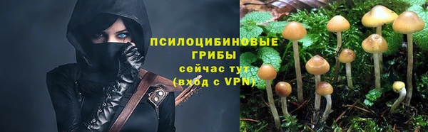 a pvp Алзамай