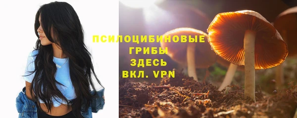 дживик Тольятти