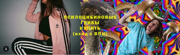 mdpv Лихославль