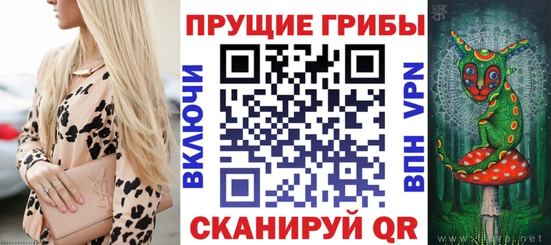 Галлюциногенные грибы мухоморы  где можно купить наркотик  Новошахтинск 