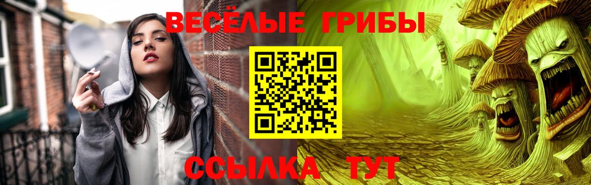 Галлюциногенные грибы Cubensis Новошахтинск