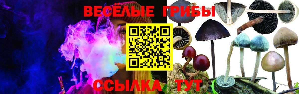 Псилоцибиновые грибы MAGIC MUSHROOMS  Вход с VPN  Новошахтинск 